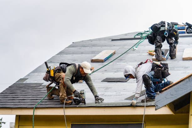 Professional Roofing technician working in South Rockwood, MI